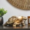 Tafari Tortoise Table Lamp -Dunelm 30770180