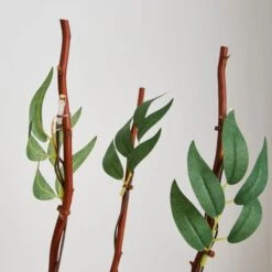 Leaf Twig Lights -Dunelm 30798659 alt02