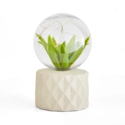 Faux Terrarium Geometric Battery Table Lamp 19 Faux Terrarium Geometric Battery Table Lamp -Dunelm 30833940 alt05