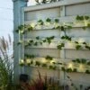 Ivy Garland 50 LED Indoor Outdoor String Lights 2 Ivy Garland 50 LED Indoor Outdoor String Lights -Dunelm 30864592