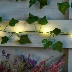 Ivy Garland 50 LED Indoor Outdoor String Lights 7 Ivy Garland 50 LED Indoor Outdoor String Lights -Dunelm 30864592 alt02