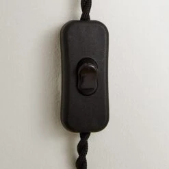 Pride & Joy Plug In Wall Light