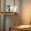 Miley Industrial Plug In Adjustable Clip On Desk Light 1 Miley Industrial Plug In Adjustable Clip On Desk Light -Dunelm 30921752
