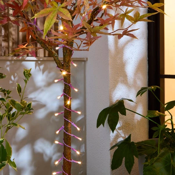 Low Voltage 100 LED String Lights 5 Low Voltage 100 LED String Lights - Image 3