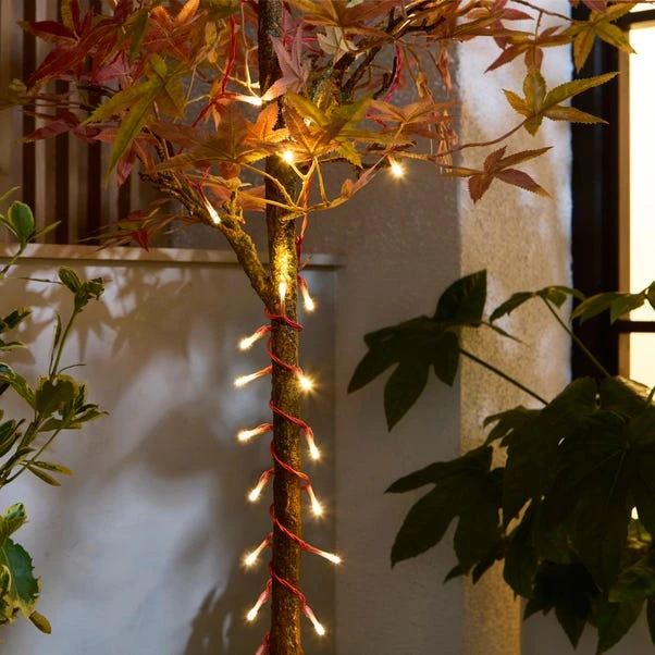 Low Voltage 100 LED String Lights 3 Low Voltage 100 LED String Lights